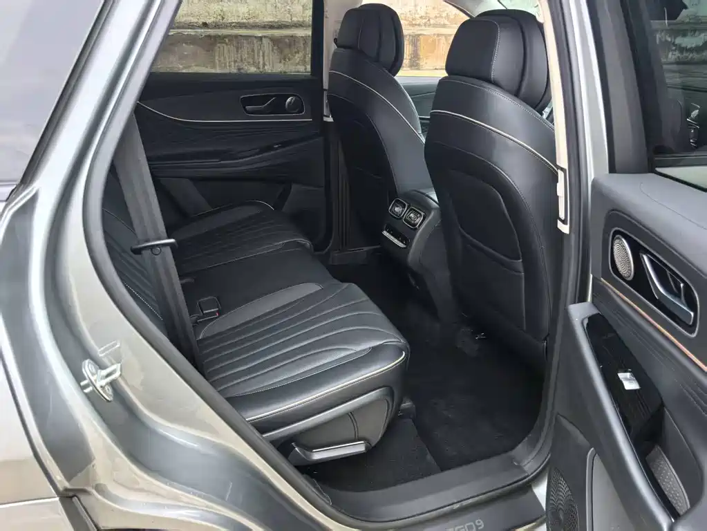 Chery Tiggo 9 2.0T DCT 2WD Luxury Edition 5 seats, фото 12