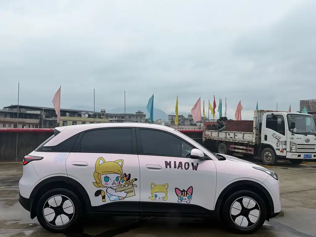 Geely Geome Xingyuan 2025 310km