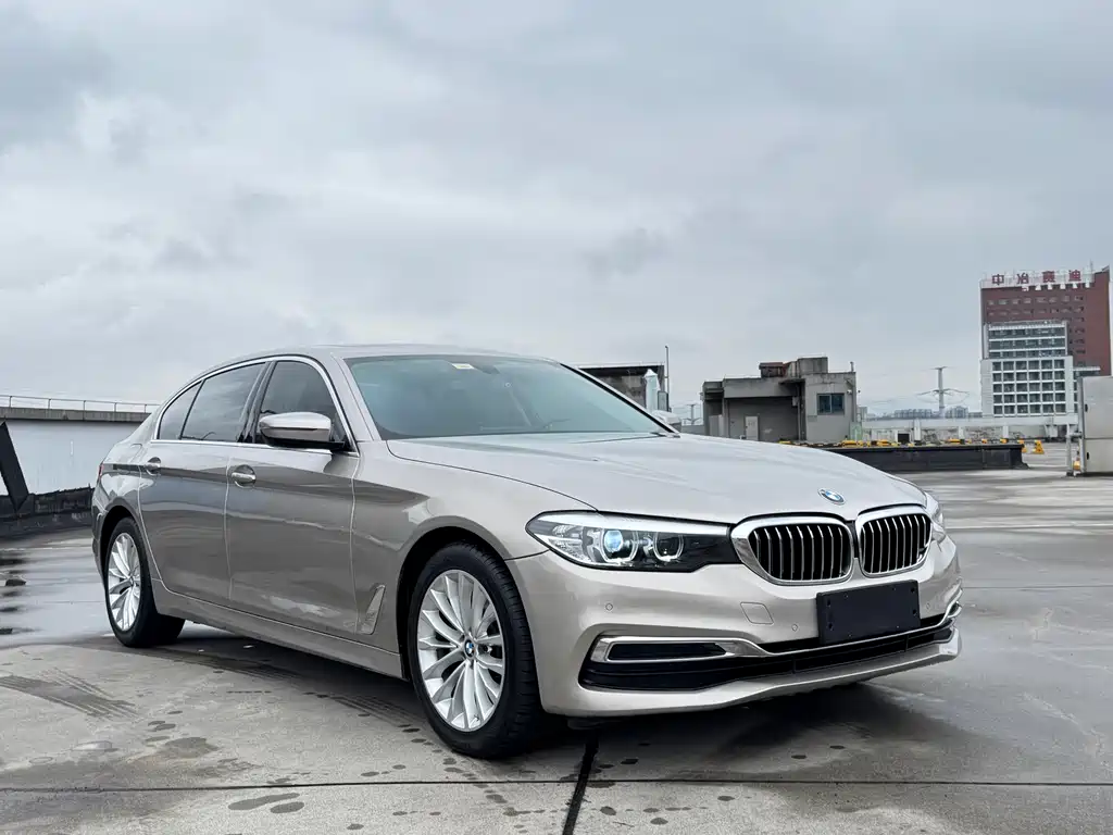 BMW 5 Series 5 2020 525Li Luxury
