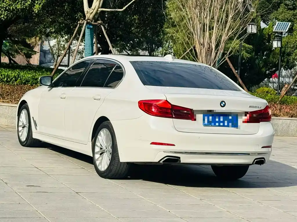 BMW 5 SERIES