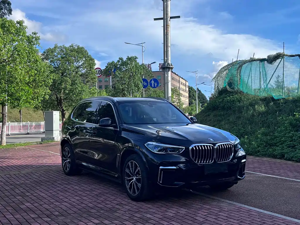 BMW X5 2022 xDrive 30Li Premium M Sport