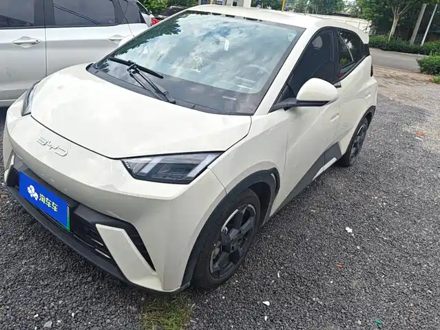 BYD 海鸥