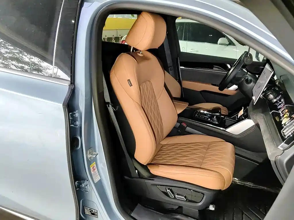 BYD Tang New Energy — миниатюра 9