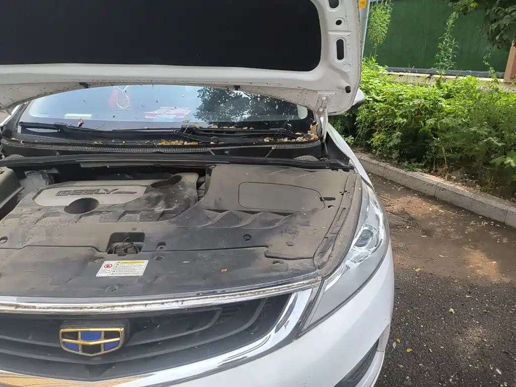 Geely Emgrand GS — миниатюра 19