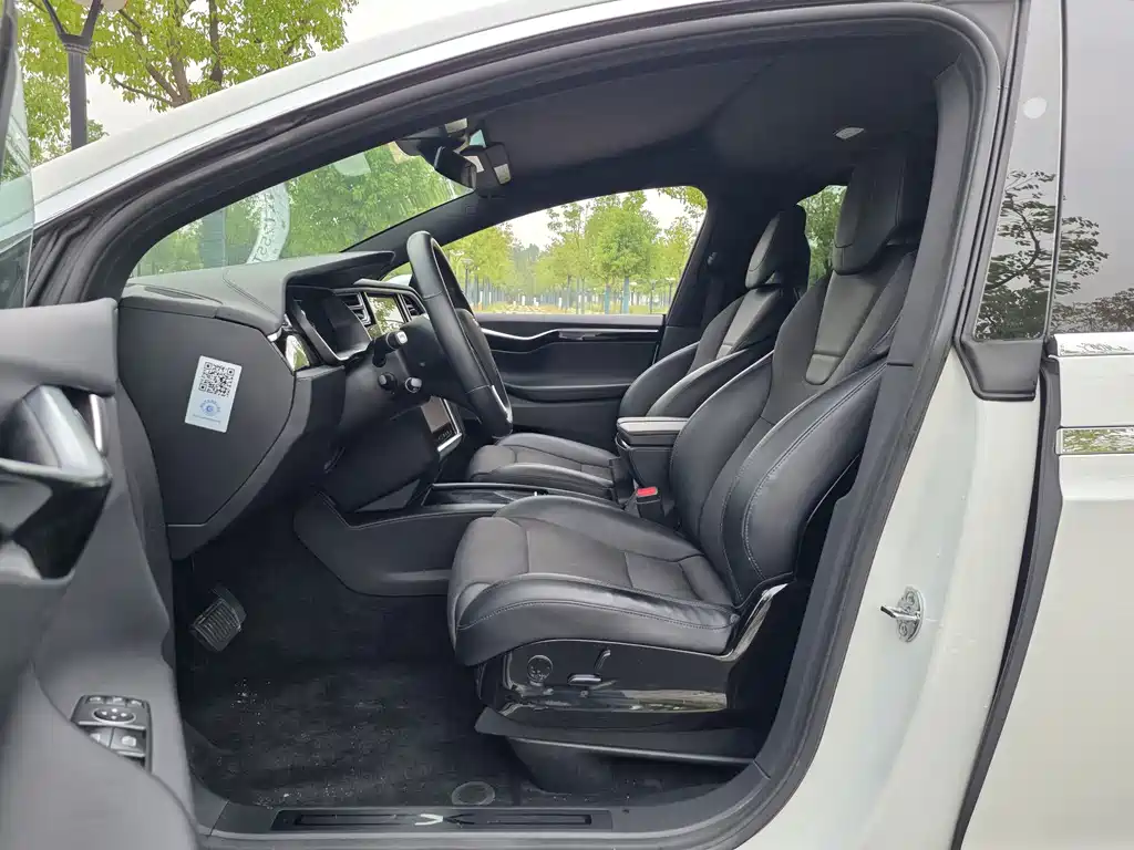 Tesla Model X — миниатюра 9