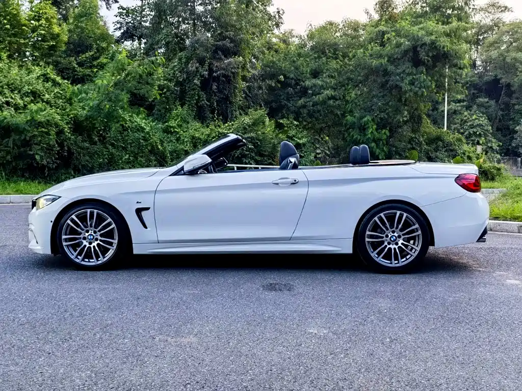 BMW 4 Series — миниатюра 4
