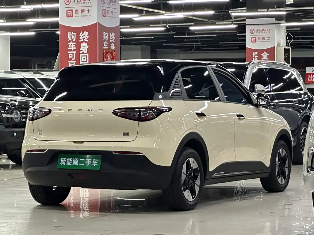 Geely Geome Xingyuan 2025 310km