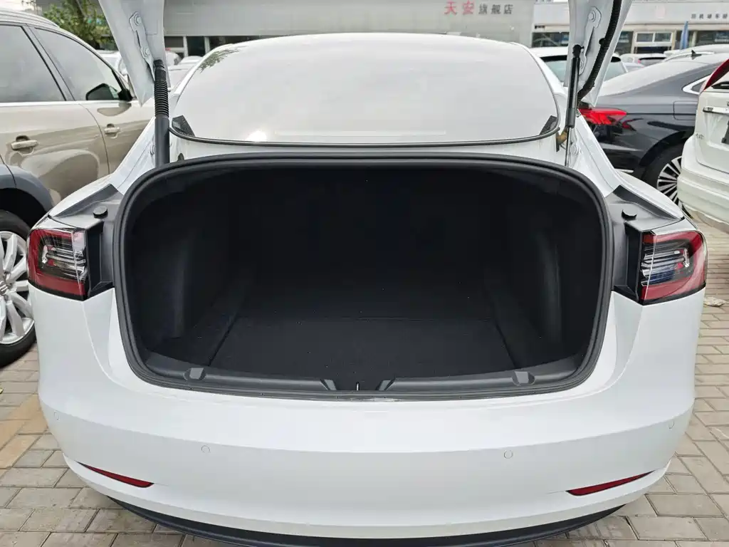 Tesla Model 3 — миниатюра 11
