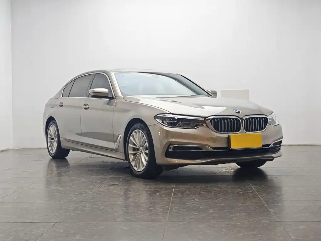 BMW 5 Series 5 2020 530Li Lead Luxury