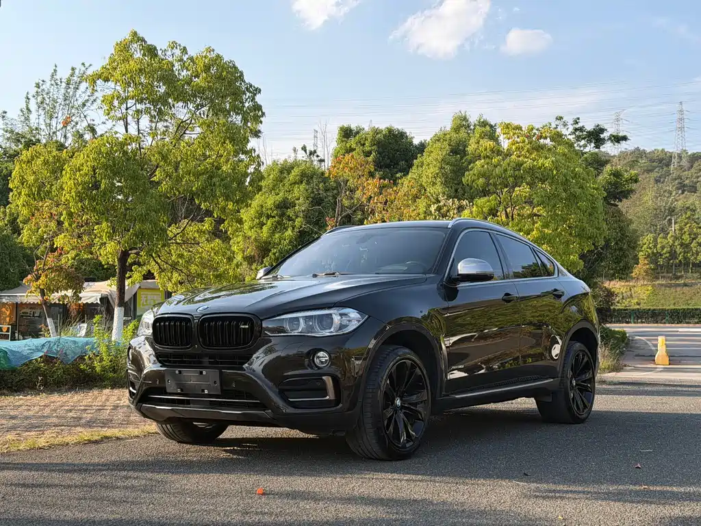 BMW X6 2018
