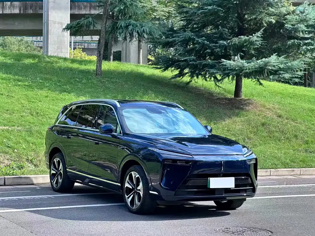 Wey Wey Lanshan — миниатюра 3