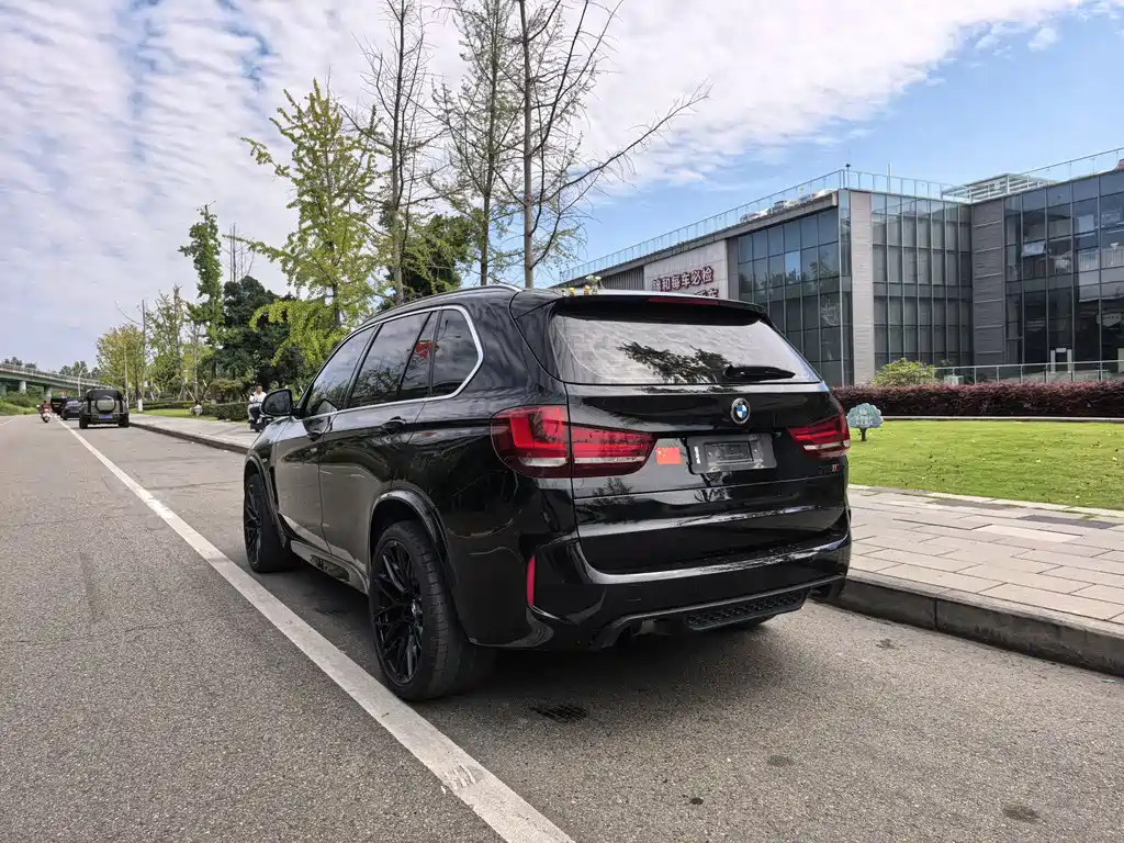 BMW X5 (Import) — миниатюра 6