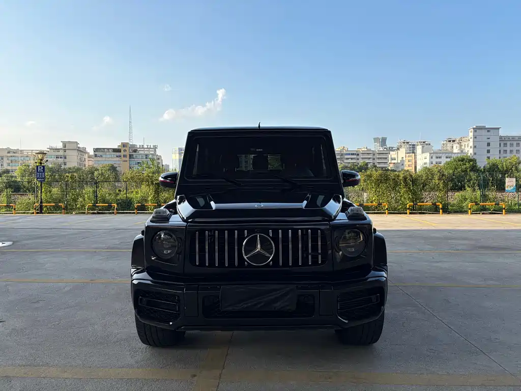Mercedes-Benz G-Class G 2017 G 350 d
