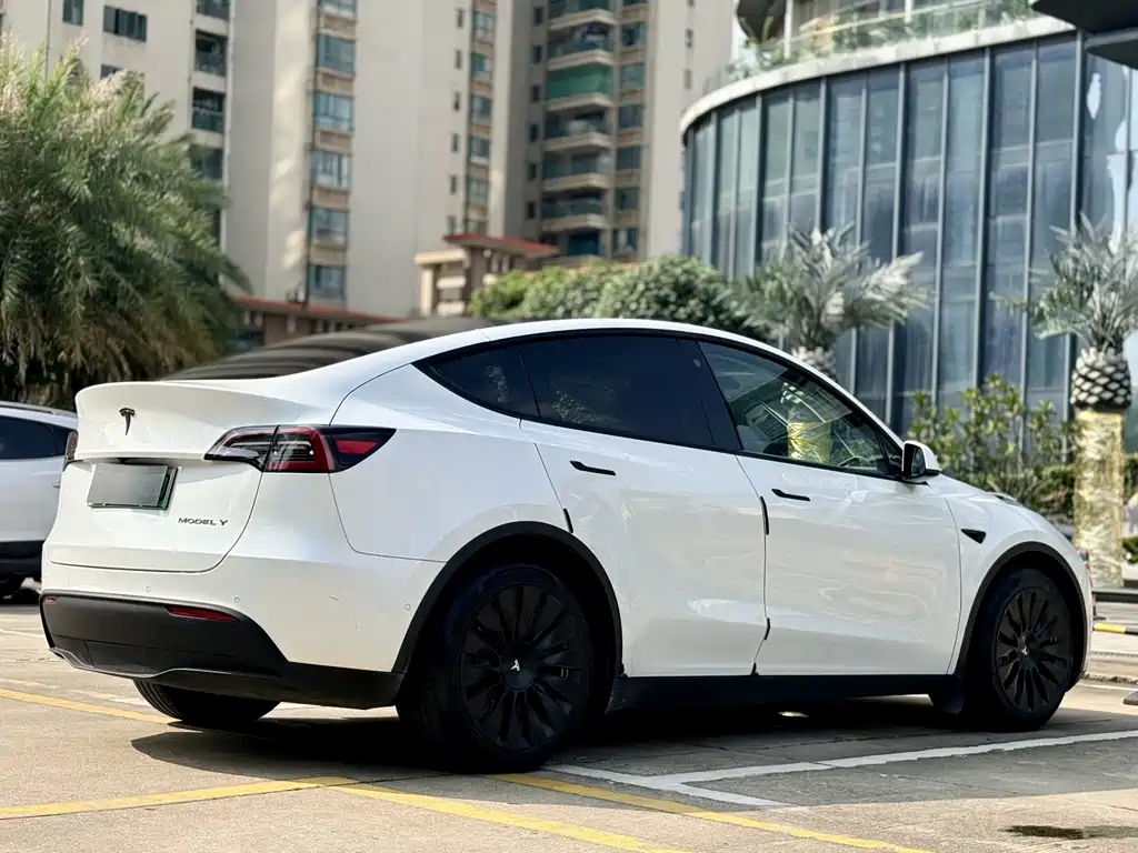 Tesla Model Y — миниатюра 15