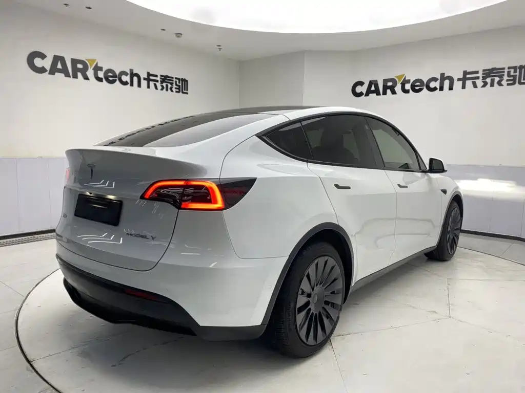 Tesla Model Y — миниатюра 5