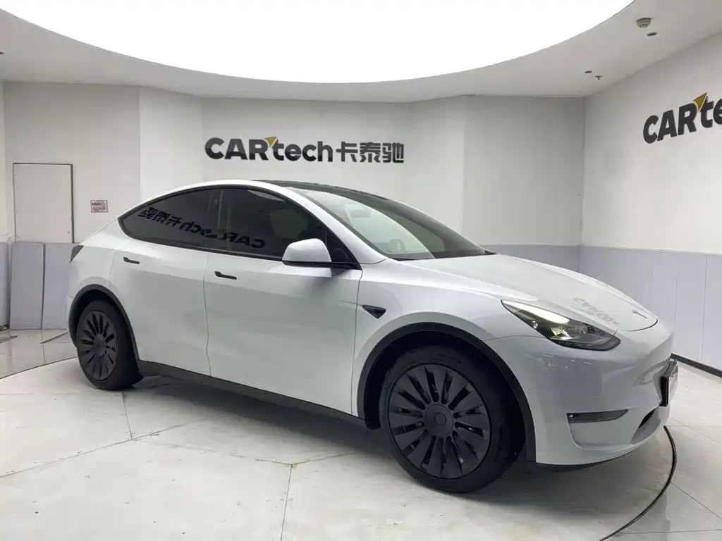 Tesla Model Y — миниатюра 2