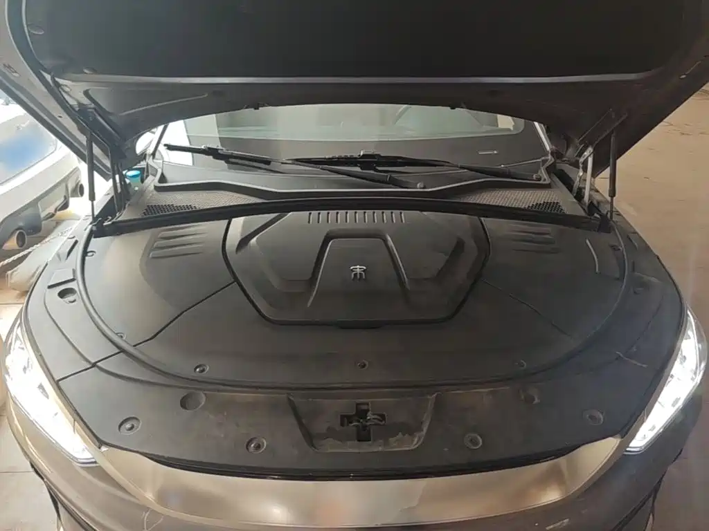 BYD PLUS New Energy — миниатюра 20