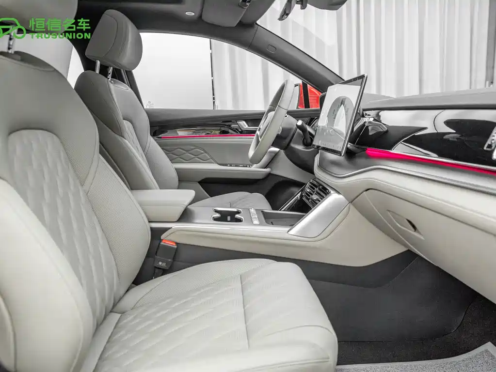 BYD Tang New Energy — миниатюра 11