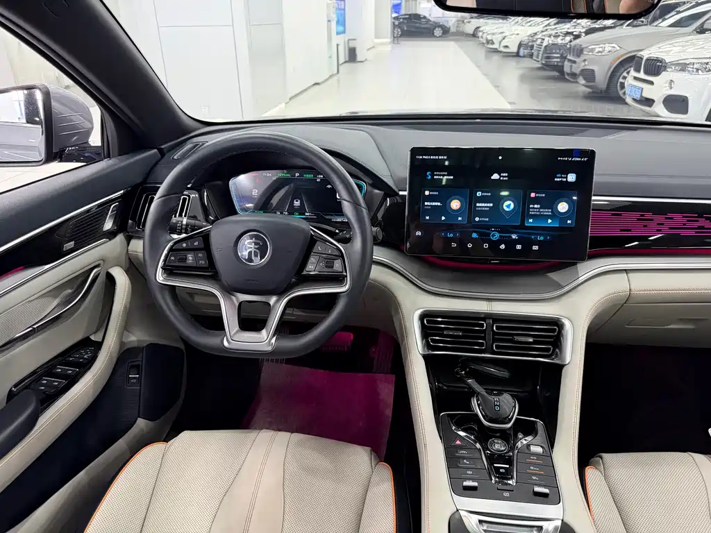 BYD PLUS New Energy — миниатюра 15