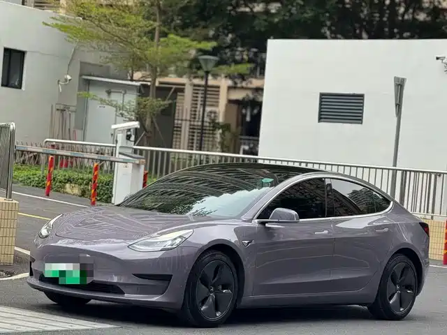 TESLA MODEL 3 2020