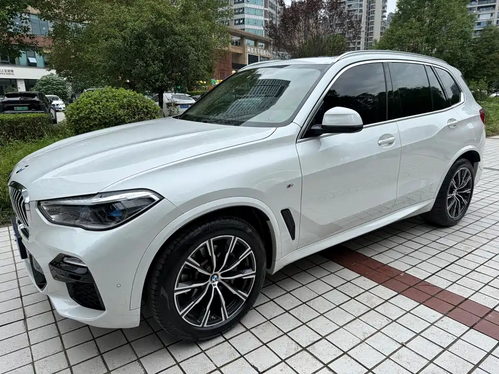 BMW X5 (Import) — миниатюра 4