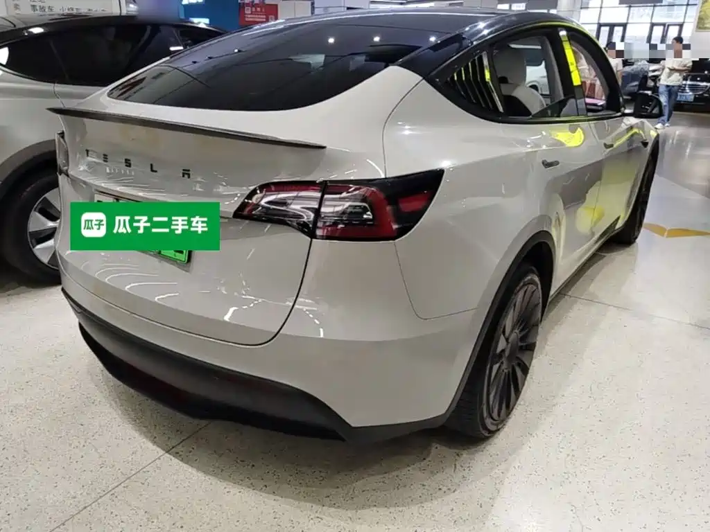 Tesla Model Y — миниатюра 7
