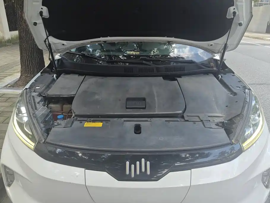 WM Motor EX5 — миниатюра 10