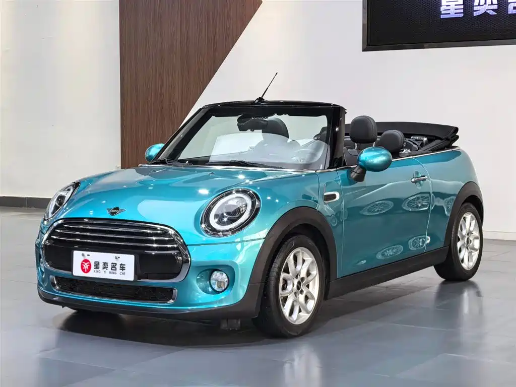 Mini Mini 2018