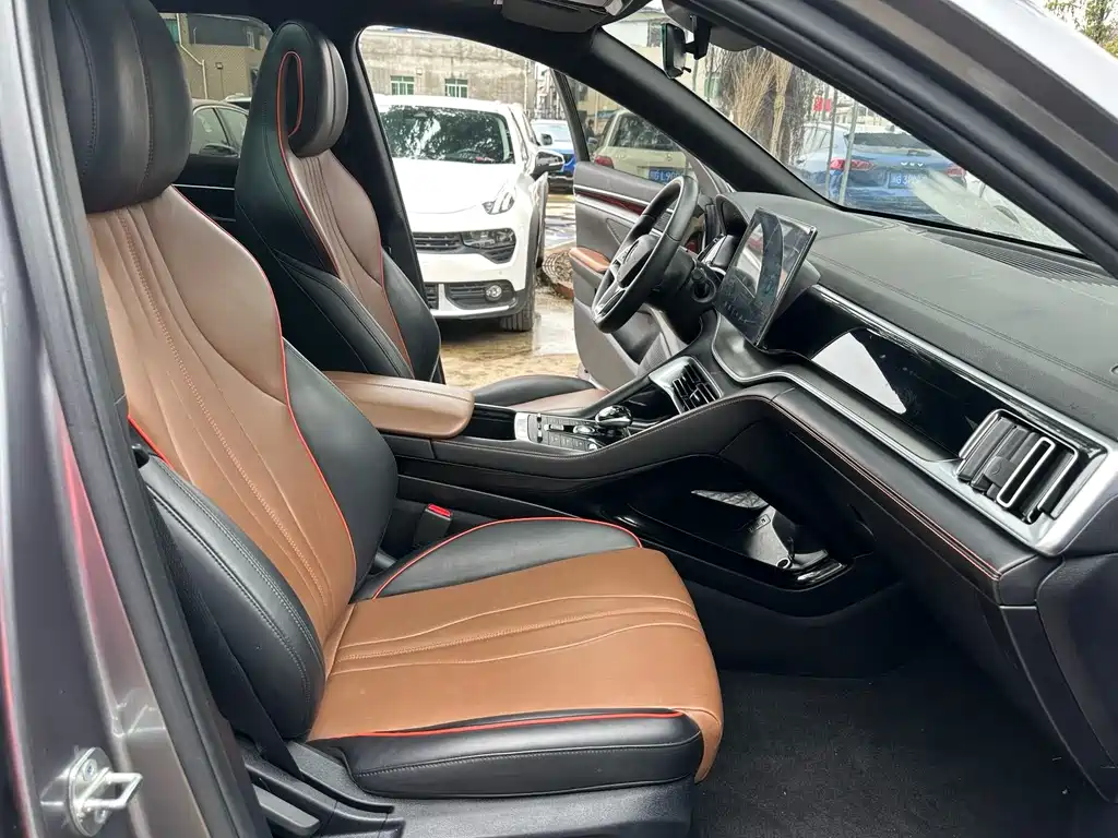 BYD PLUS — миниатюра 6