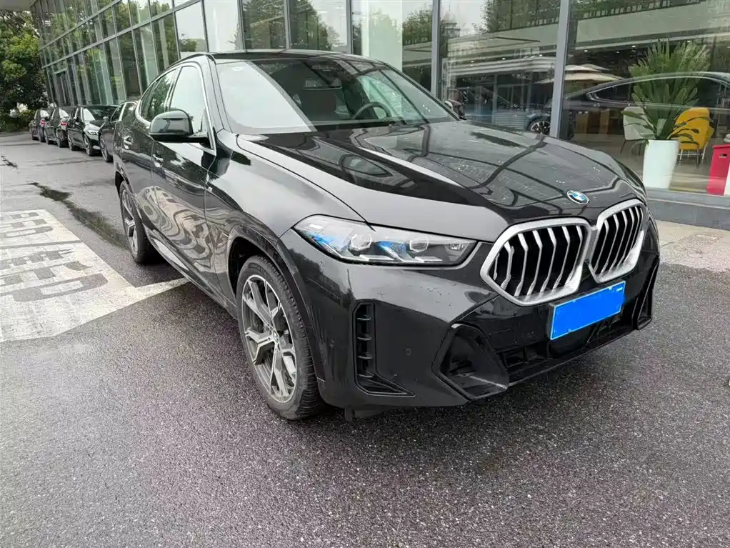 BMW X6 2023 xDrive40i Premium M Sport