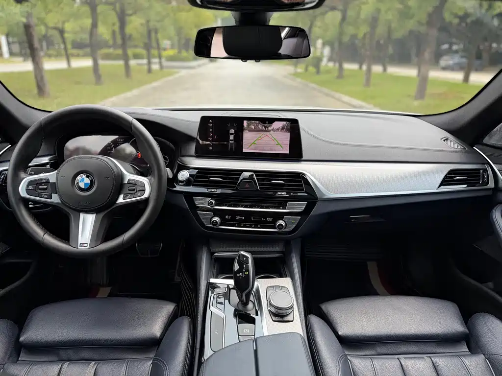 BMW 5 Series (Import) — миниатюра 10