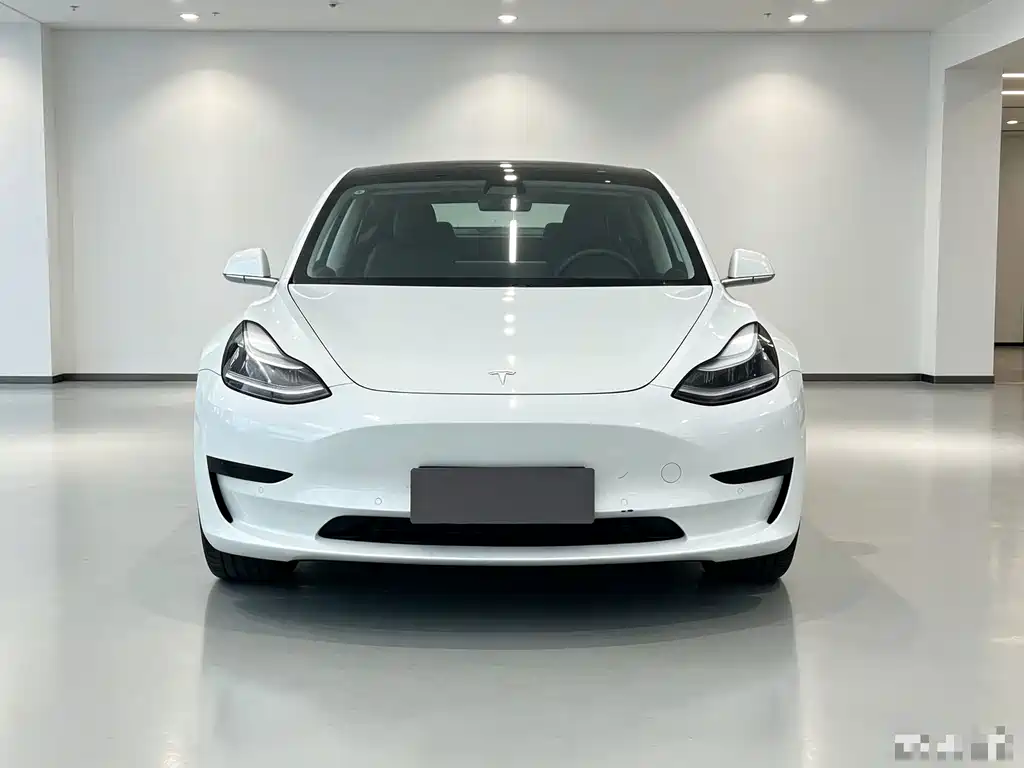 Tesla Model 3 — миниатюра 2