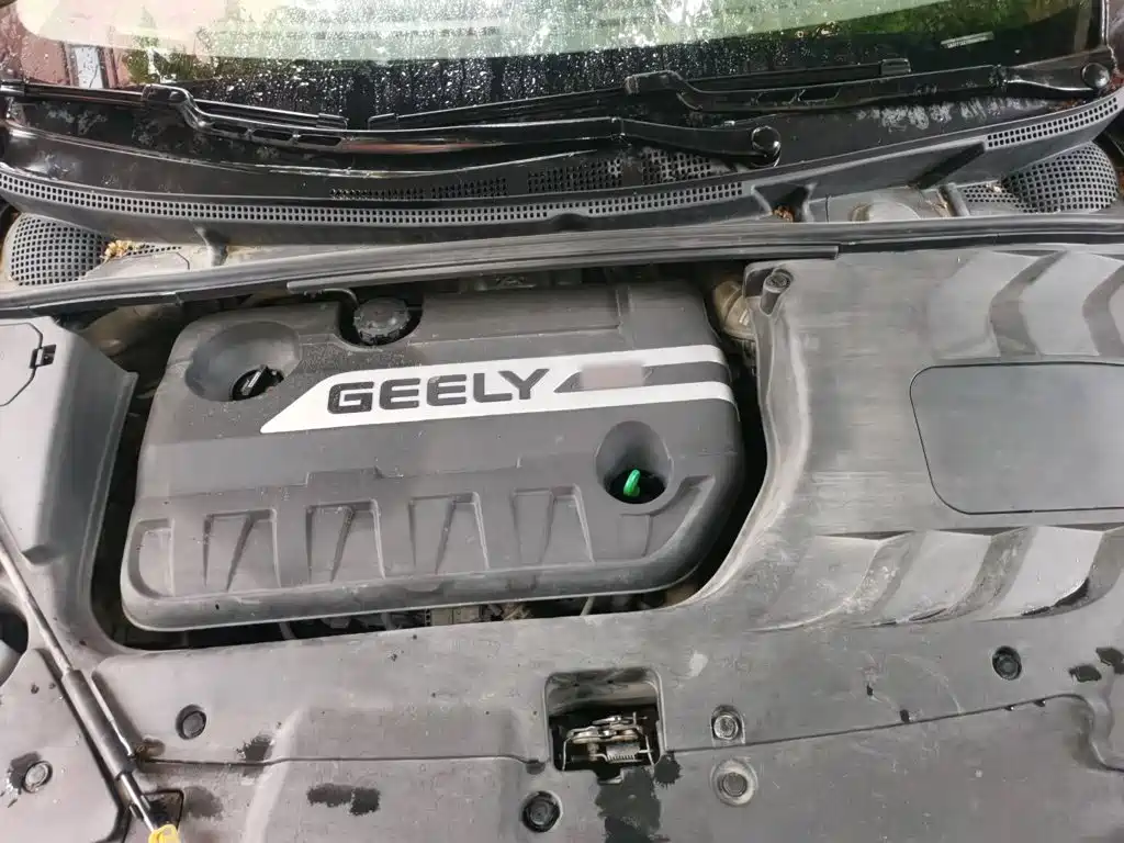 Geely Emgrand GS — миниатюра 11