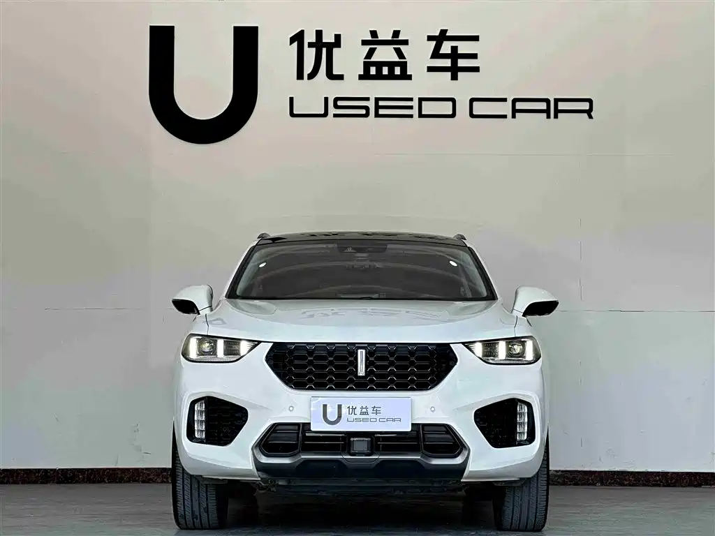 WEI PAI WEI BRAND VV5