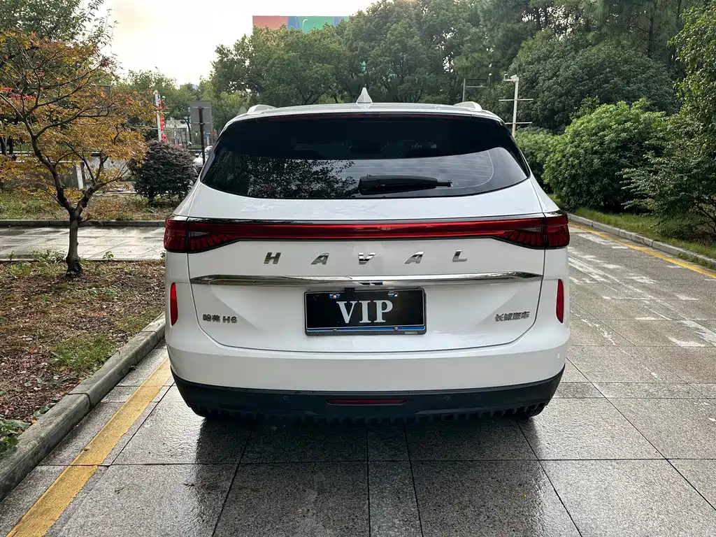 Haval H6 — миниатюра 12