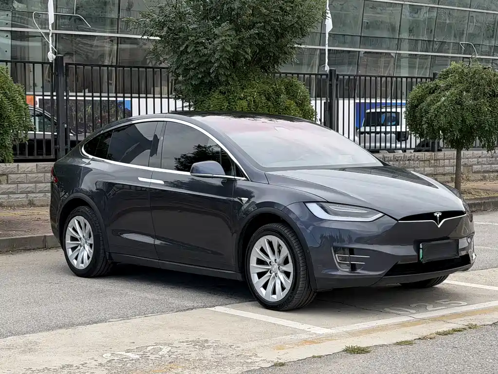 Tesla Model X — миниатюра 3