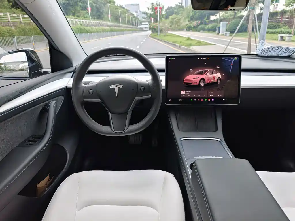 Tesla Model Y — миниатюра 12