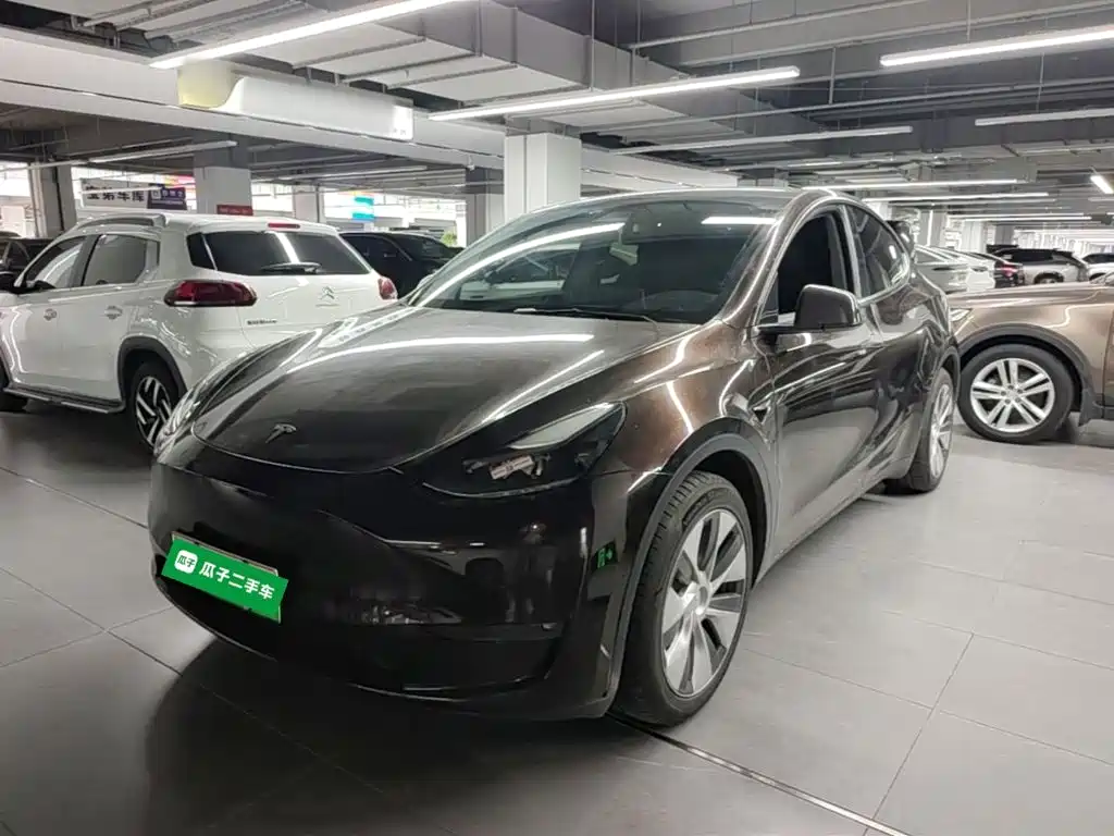 Tesla Model Y — миниатюра 2