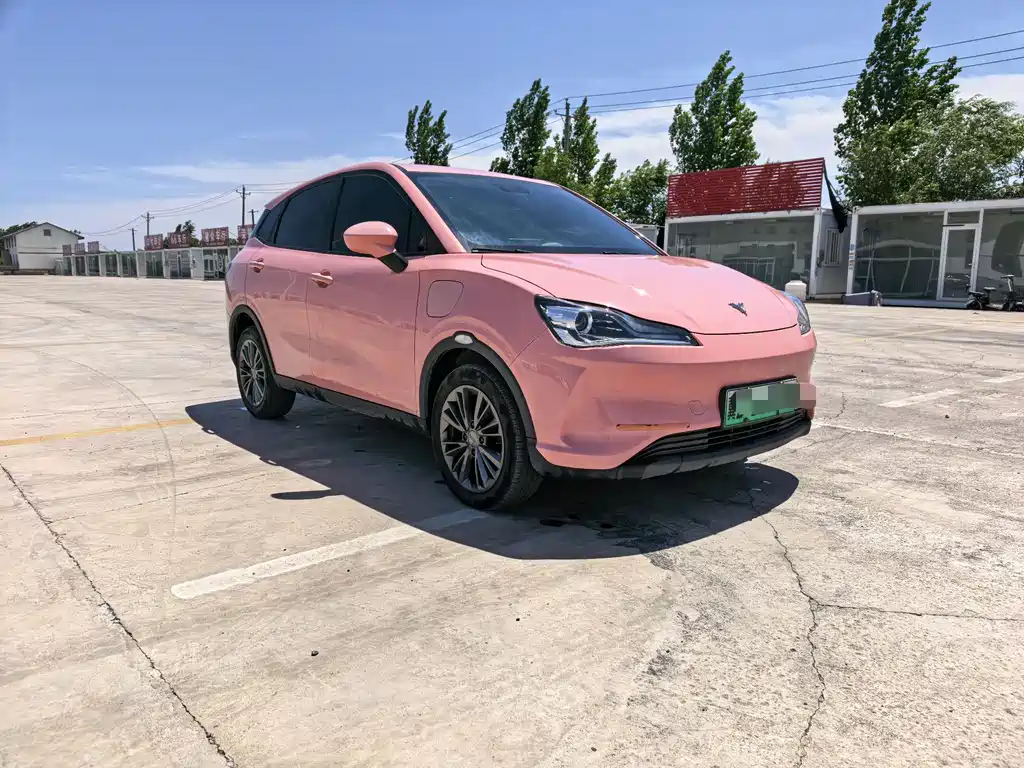 Neta Neta V 2022