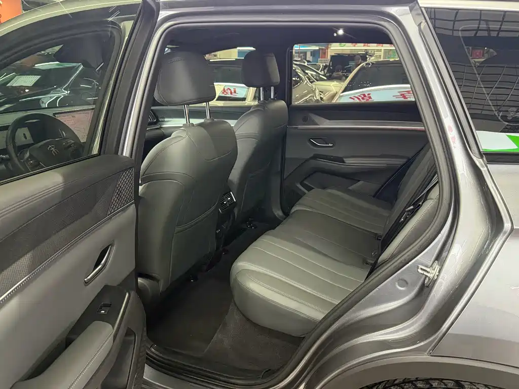 BYD Pro New Energy — миниатюра 8