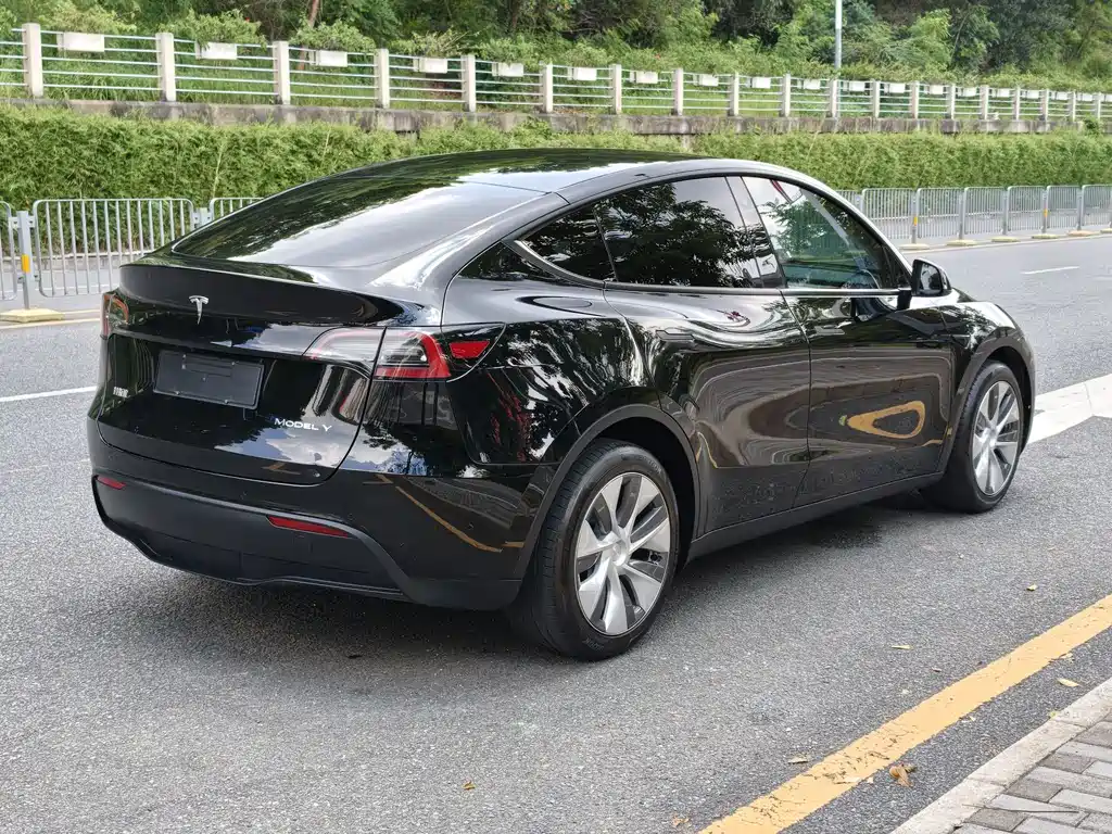 Tesla Model Y — миниатюра 4