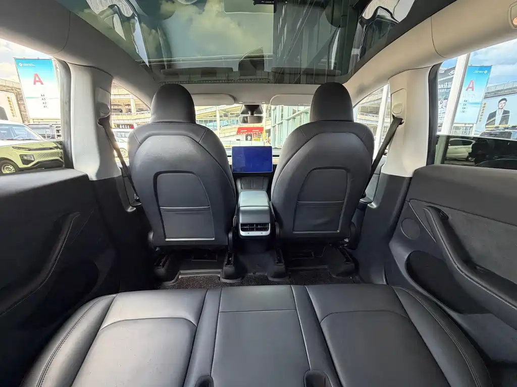 Tesla Model Y — миниатюра 10