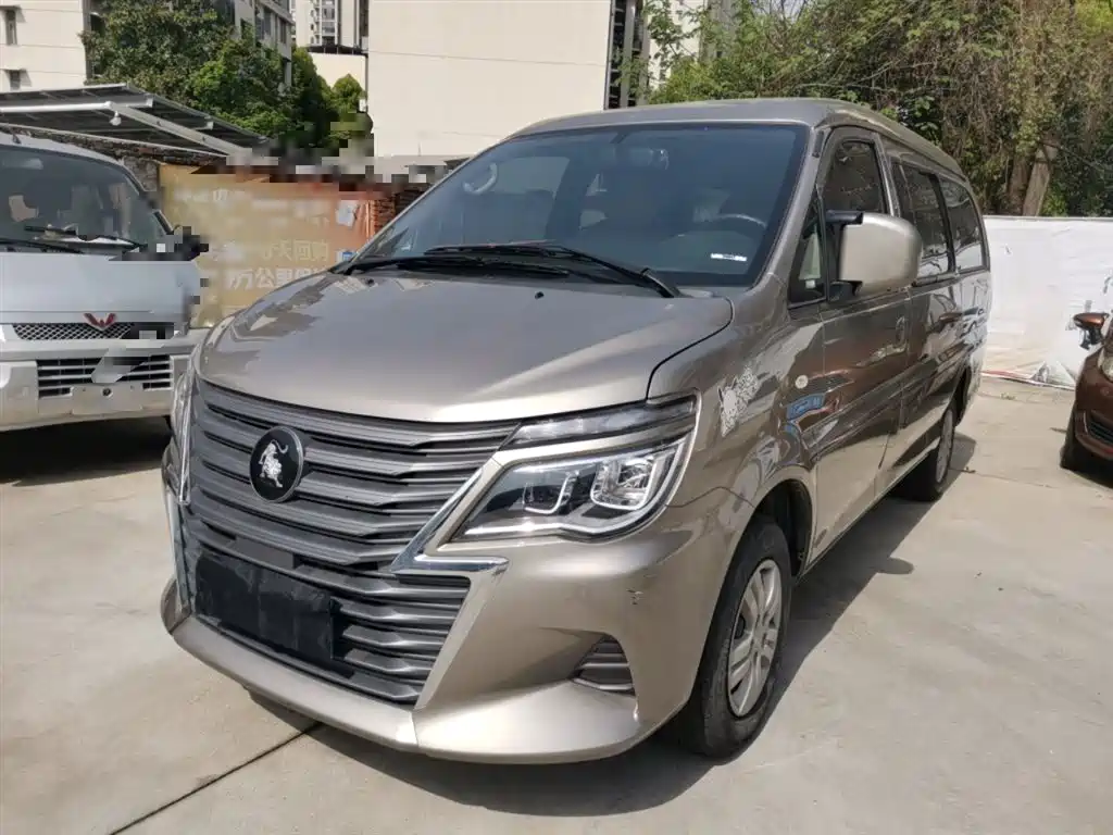 Fengxing Lingzhi 2024