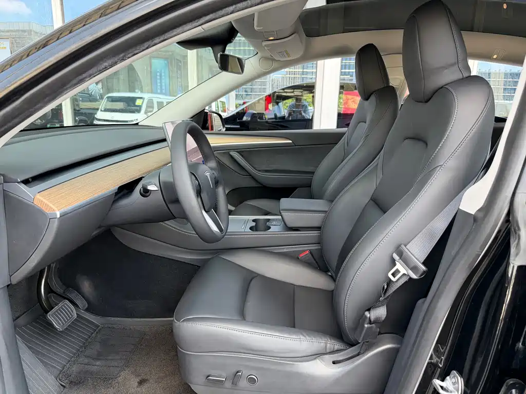 Tesla Model Y — миниатюра 14