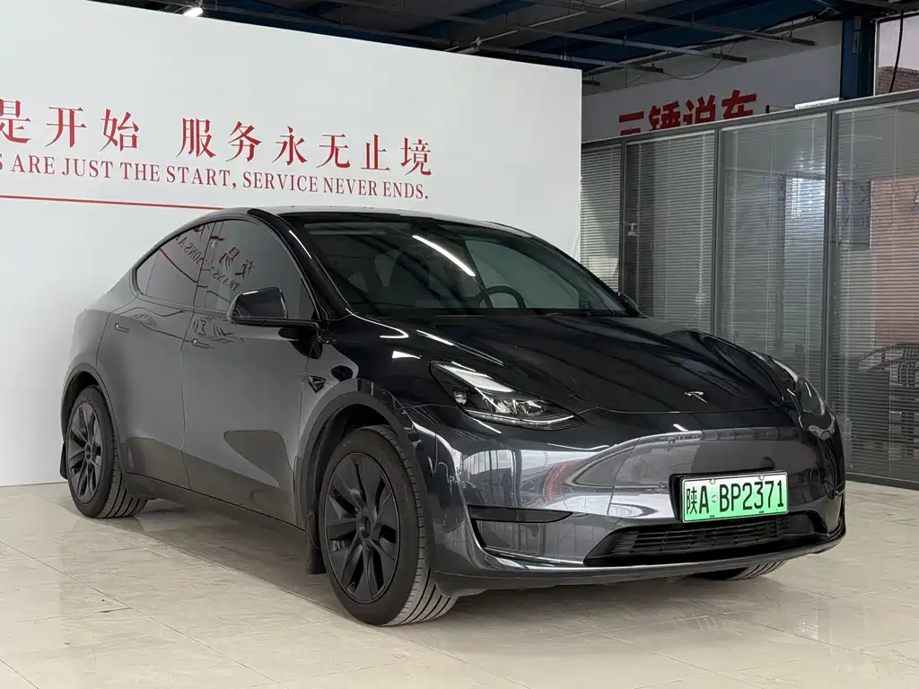 Tesla Model Y — миниатюра 3