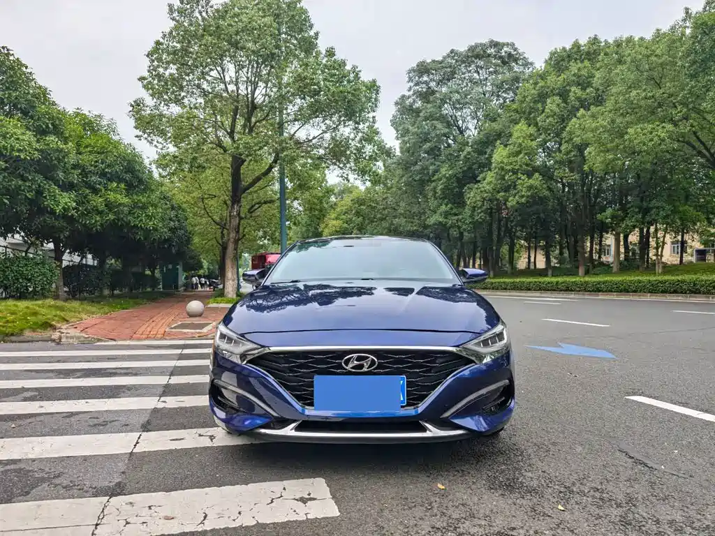Hyundai Fista — миниатюра 2