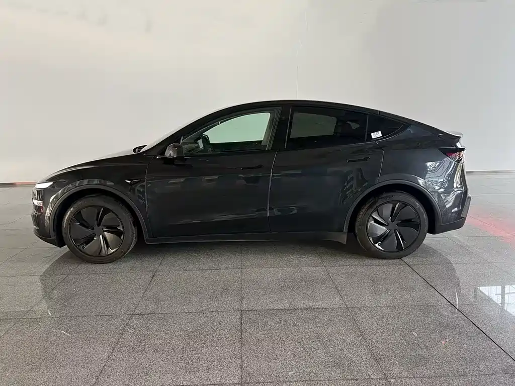 Tesla Model Y — миниатюра 2