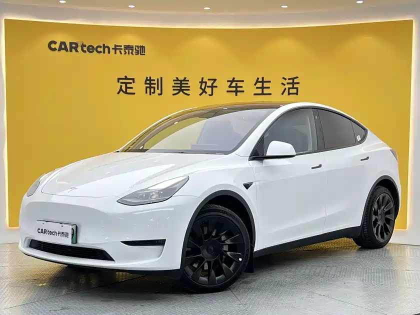 Tesla Model Y — миниатюра 13