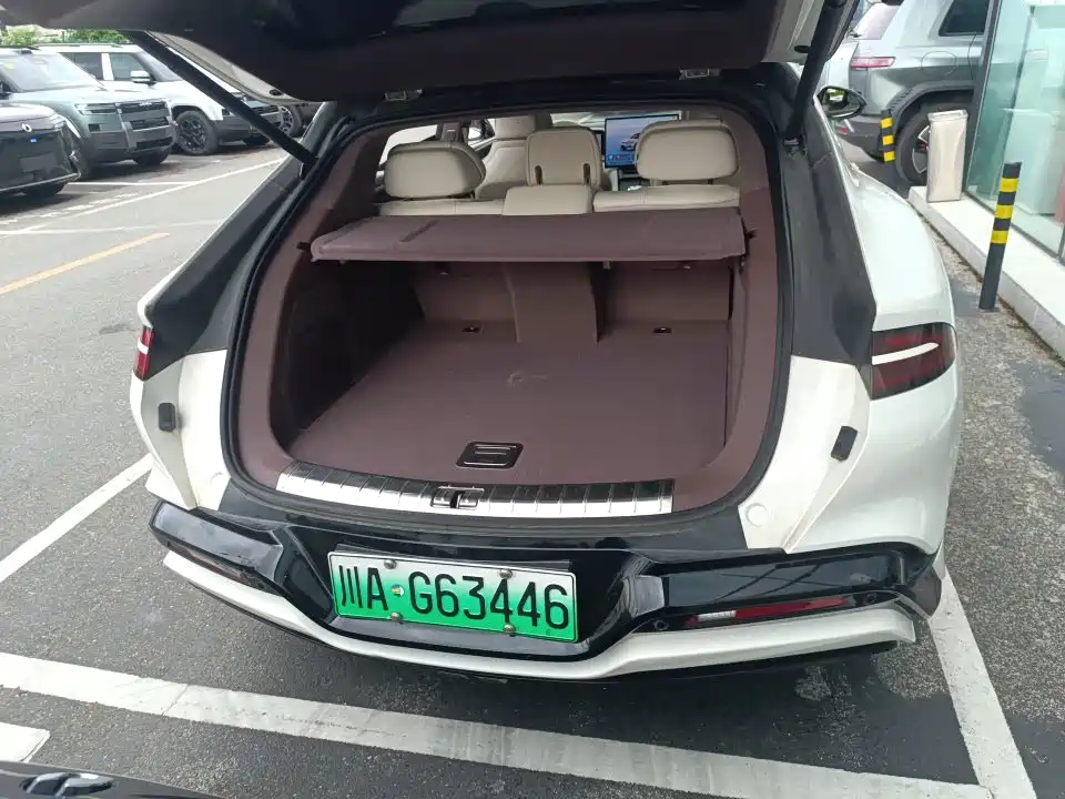 Denza Denza Z9GT — миниатюра 9