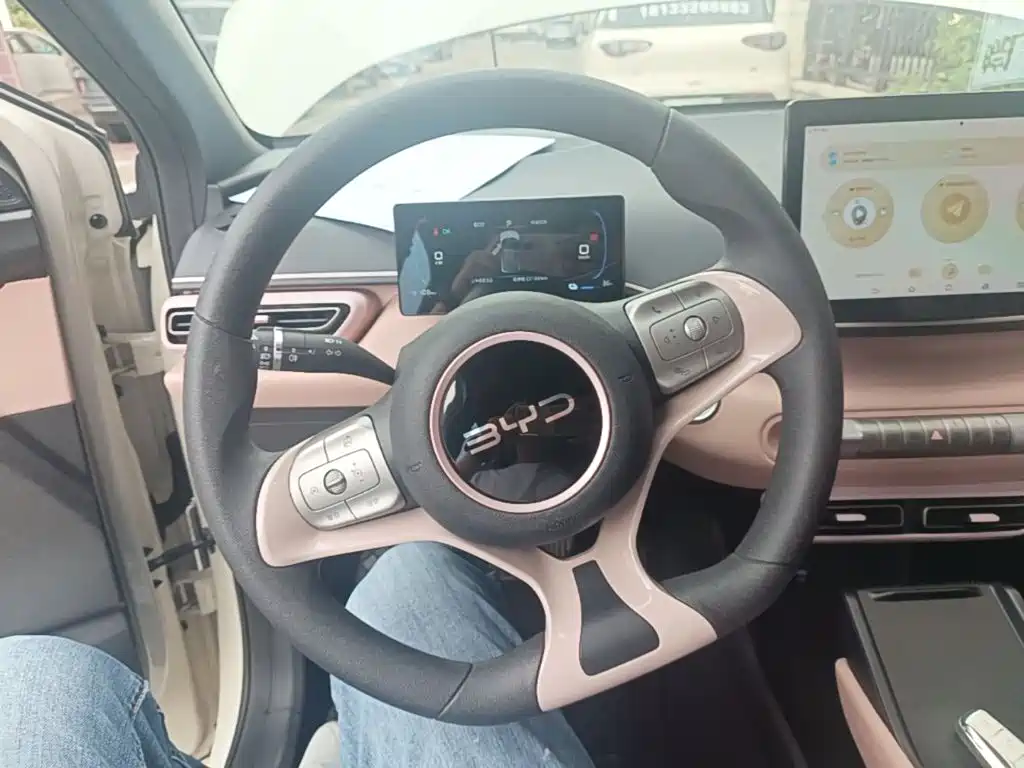 BYD Seagull — миниатюра 11